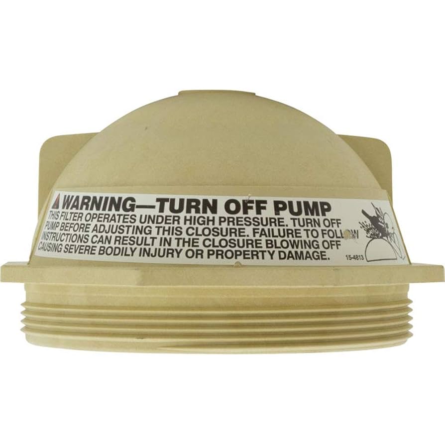 Amazon.com: Pentair 154559 6-Inch Black V Thread Closure